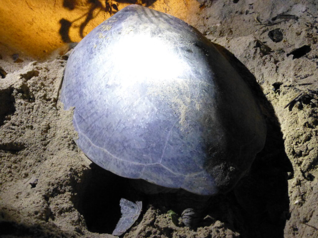 2013-02-07 19.41.07
