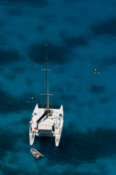Raptor from top of Hastings_3