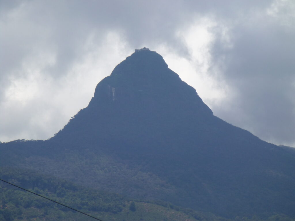 2013-04-12 12.49.49