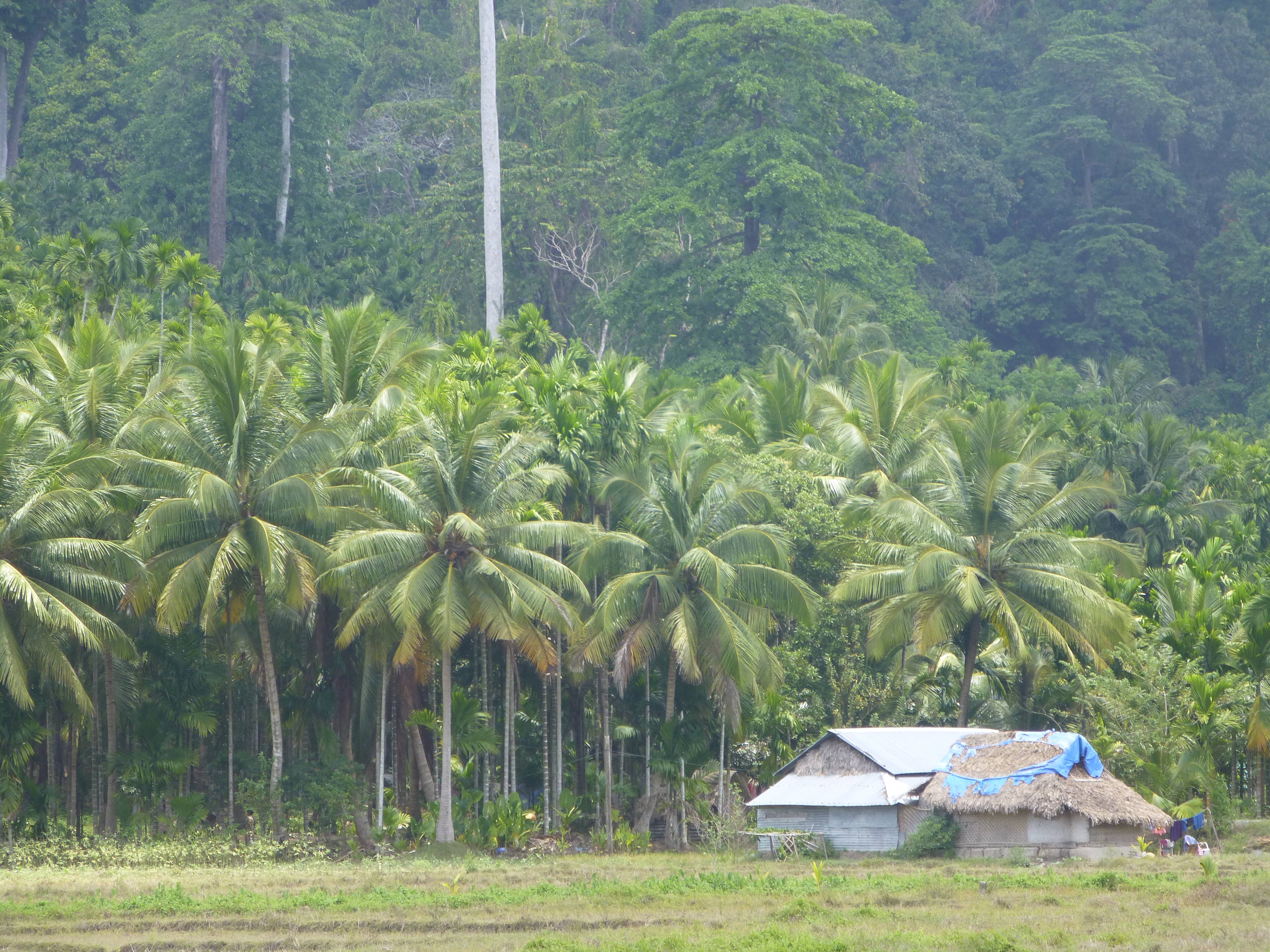 P1050251