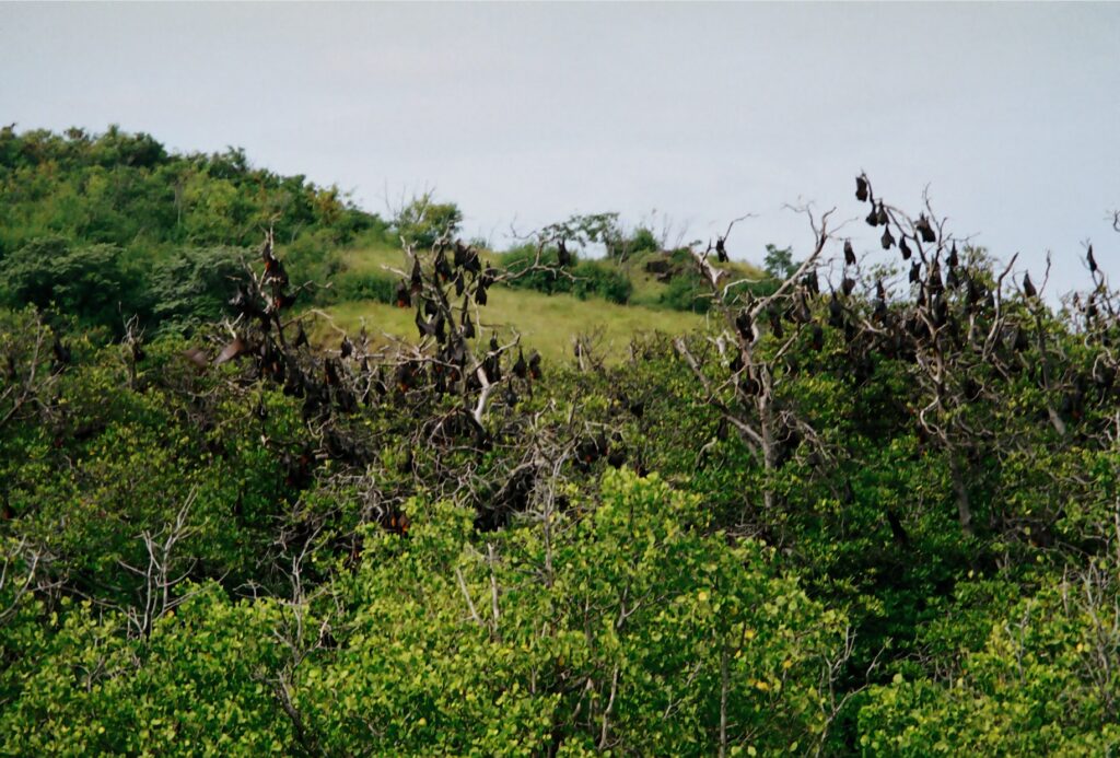 R008-006