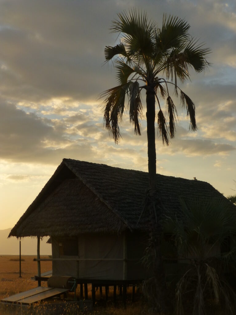 P1070946
