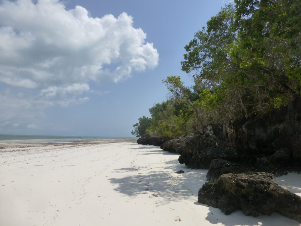 P1080238