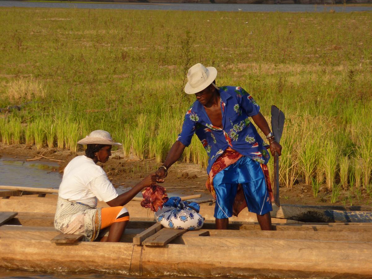 Descente du fleuve Tsiribihina sur l'île de Madagascar dans mon article Visiter Madagascar : sur la route des baobabs sur la côte ouest de l'île de Madagascar #madagascar #voyage #afrique #itineraire #ile