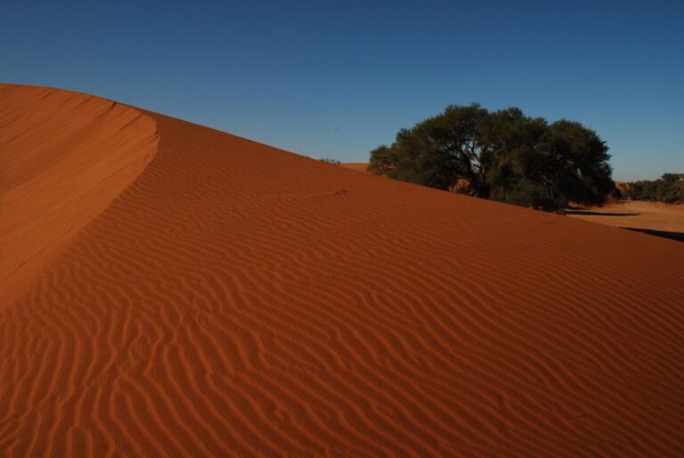 Désert de Namib en Namibie dans mon article Visiter la Namibie : itinéraire de voyage pour savoir où aller en Namibie #namibie #desert #voyage #afrique