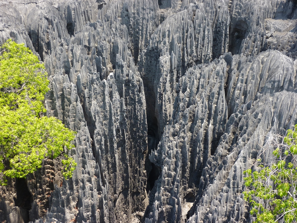 Formations rocheuses de Tingny de Bemaraha à Madagascar dans mon article Visiter Madagascar : sur la route des baobabs sur la côte ouest de l'île de Madagascar #madagascar #voyage #afrique #itineraire #ile