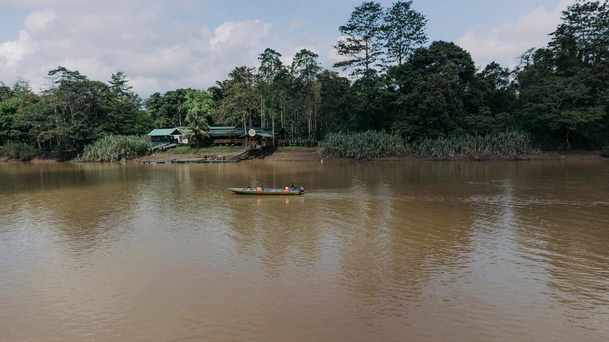 Dormir dans un lodge au coeur de la jungle de Bornéo dans mon article Orangs-outans de Bornéo en Malaisie : Ma rencontre avec ces "hommes de la forêt" #orangoutan #singe #primate #borneo #malaisie #asiedusudest #safari
