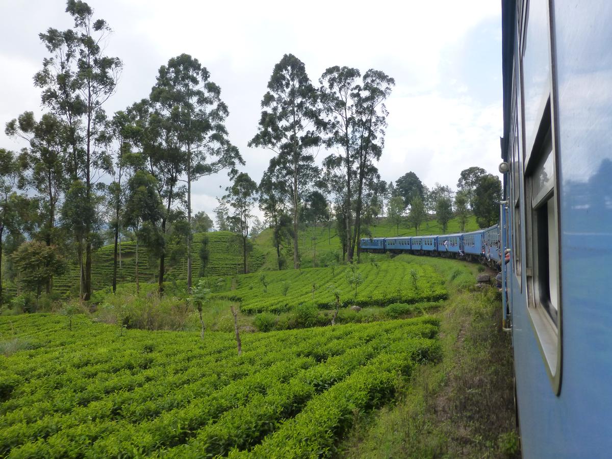 Se déplacer en train au Sri Lanka dans mon article Les voyages en train : Inspiration pour un voyage en train d'exception #voyageentrain #train #voyage #itineraire