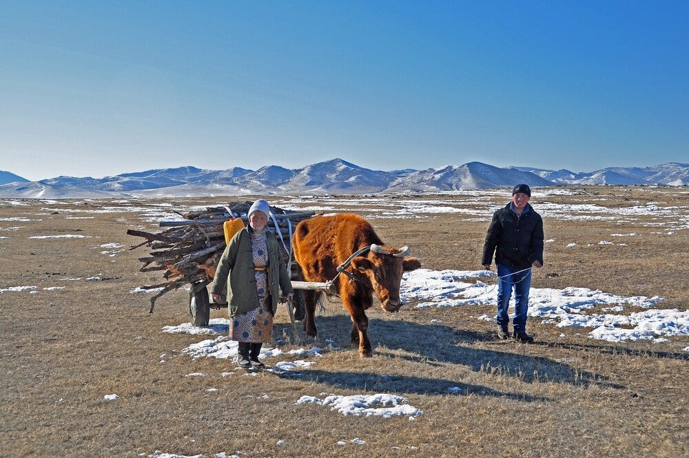 Mode de vie chez les nomades dans les steppes de Mongolie dans mon article Découverte des peuples nomades qui vivent dans les steppes de Mongolie #steppe #mongolie #nomade #asie