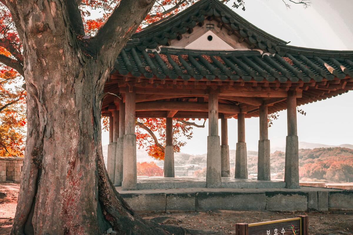 Corée du Sud, destination où aller en automne dans mon article Où partir en automne : les meilleures destinations par continent pour voyager en automne #automne #voyage #destination