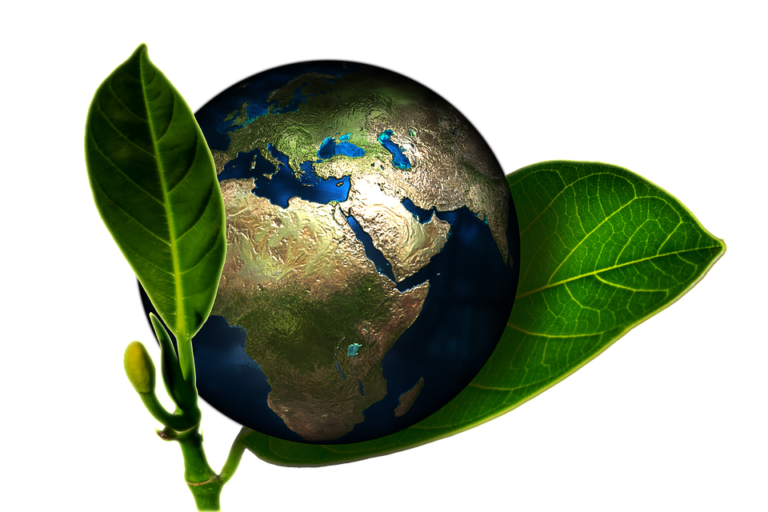 Pratiquer l'écotourisme ou comment s’y retrouver avec la mode du tourisme vert #ecoutourisme #tourismevert #durable #tourisme