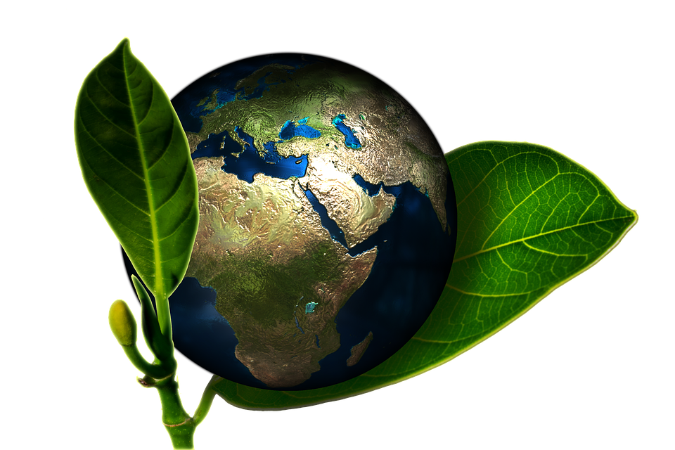 Pratiquer l'écotourisme ou comment s’y retrouver avec la mode du tourisme vert #ecoutourisme #tourismevert #durable #tourisme