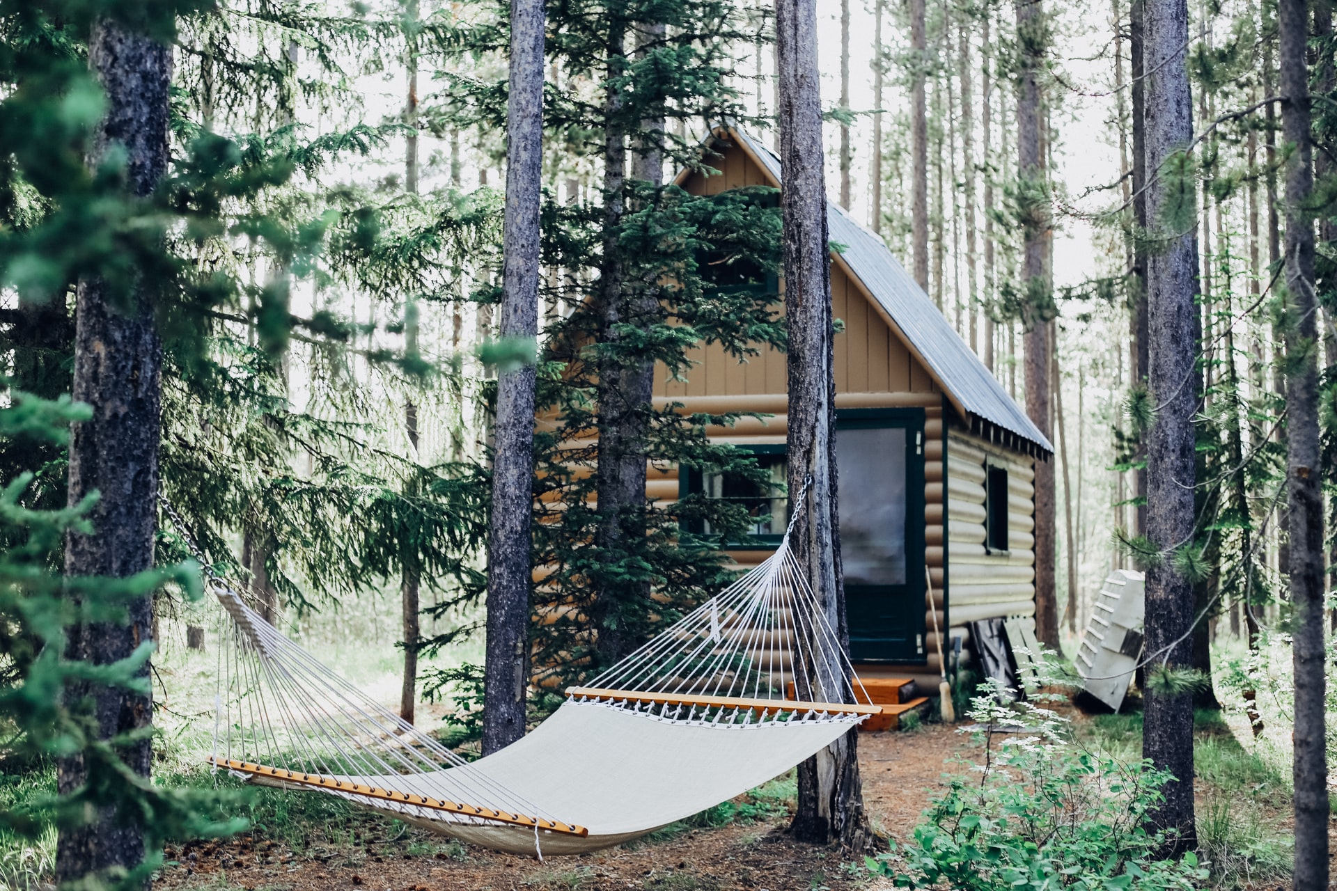 Écotourisme, choisir un éco-lodge dans mon article Pratiquer l'écotourisme ou comment s’y retrouver avec la mode du tourisme vert #ecoutourisme #tourismevert #durable #tourisme