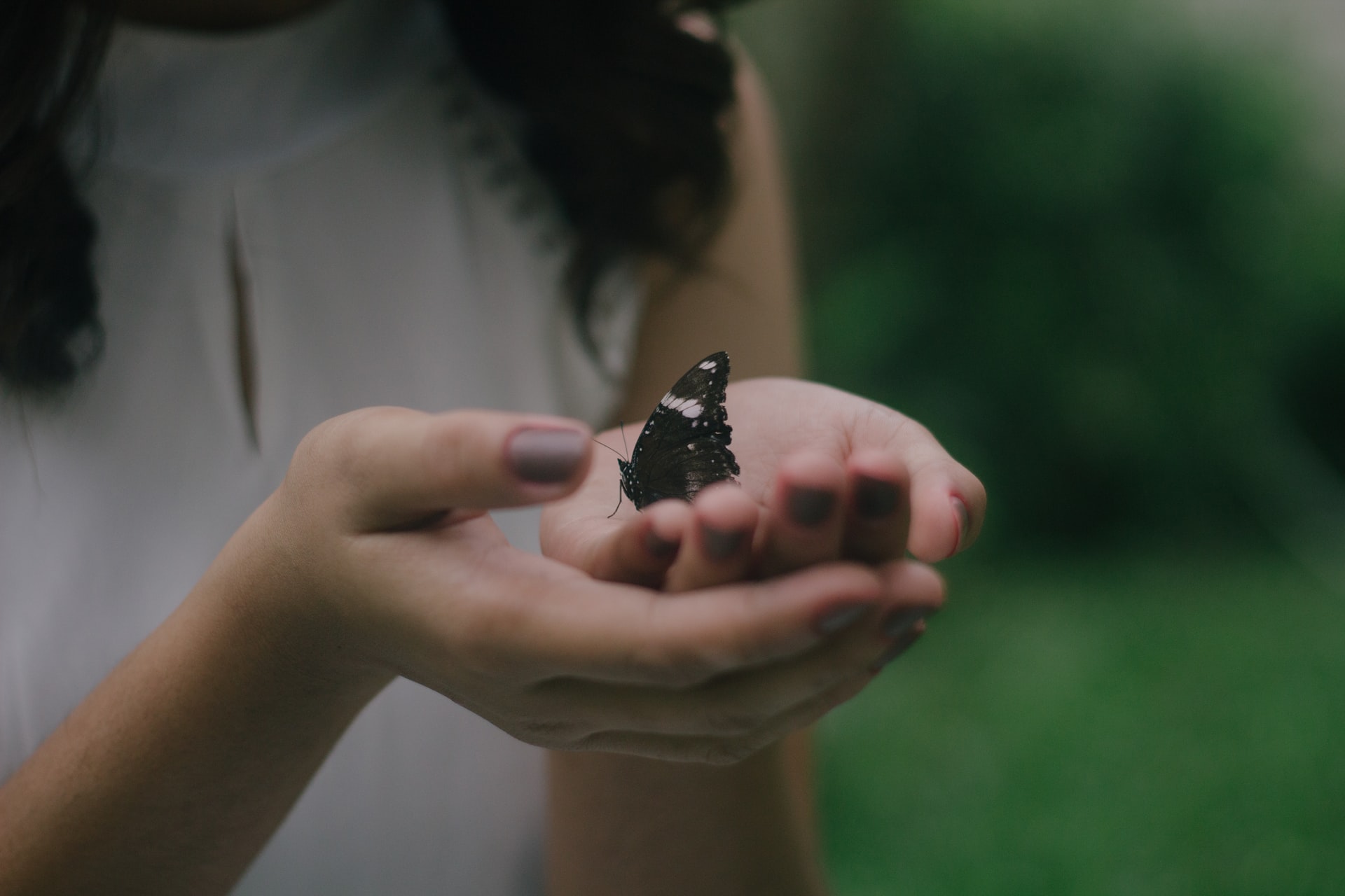 Écotourisme, protection de la faune dans mon article Pratiquer l'écotourisme ou comment s’y retrouver avec la mode du tourisme vert #ecoutourisme #tourismevert #durable #tourisme
