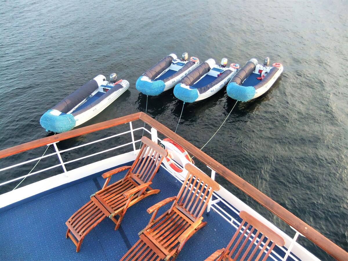 Croisière aux Galapagos en Équateur dans mon article Voyage aux îles Galápagos : faire une croisière unique aux Galápagos en Équateur #equateur #galapagos #croisiere #voyage