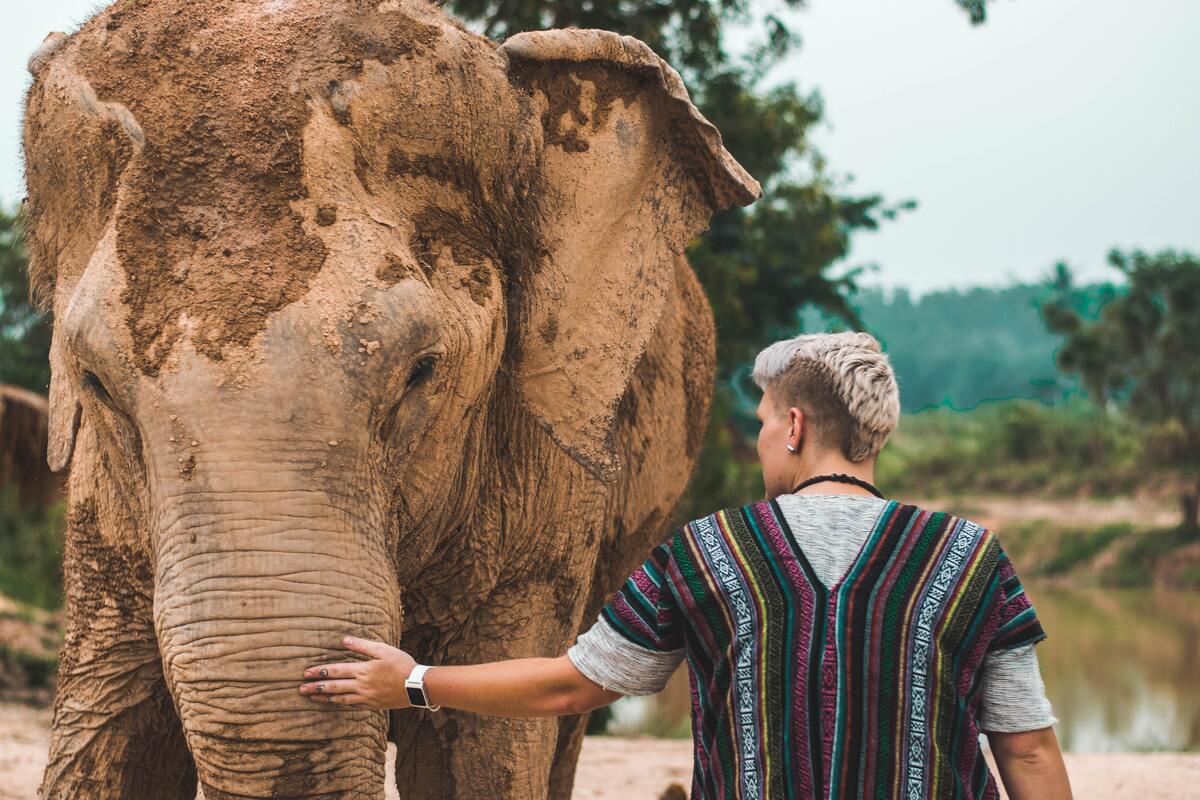 Rencontrer les éléphants dans un sanctuaire, une pratique responsable dans mon article L'alternative à la balade à dos d'éléphant : comment rencontrer un éléphant autrement #elephant #tourismedurable