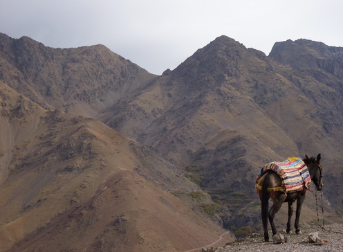 Randonnée dans les montagnes de l'Atlas au Maroc dans mon article Où aller au Maroc : mon itinéraire au sud du Maroc entre mer, montagnes et désert #maroc #itineraire #voyage