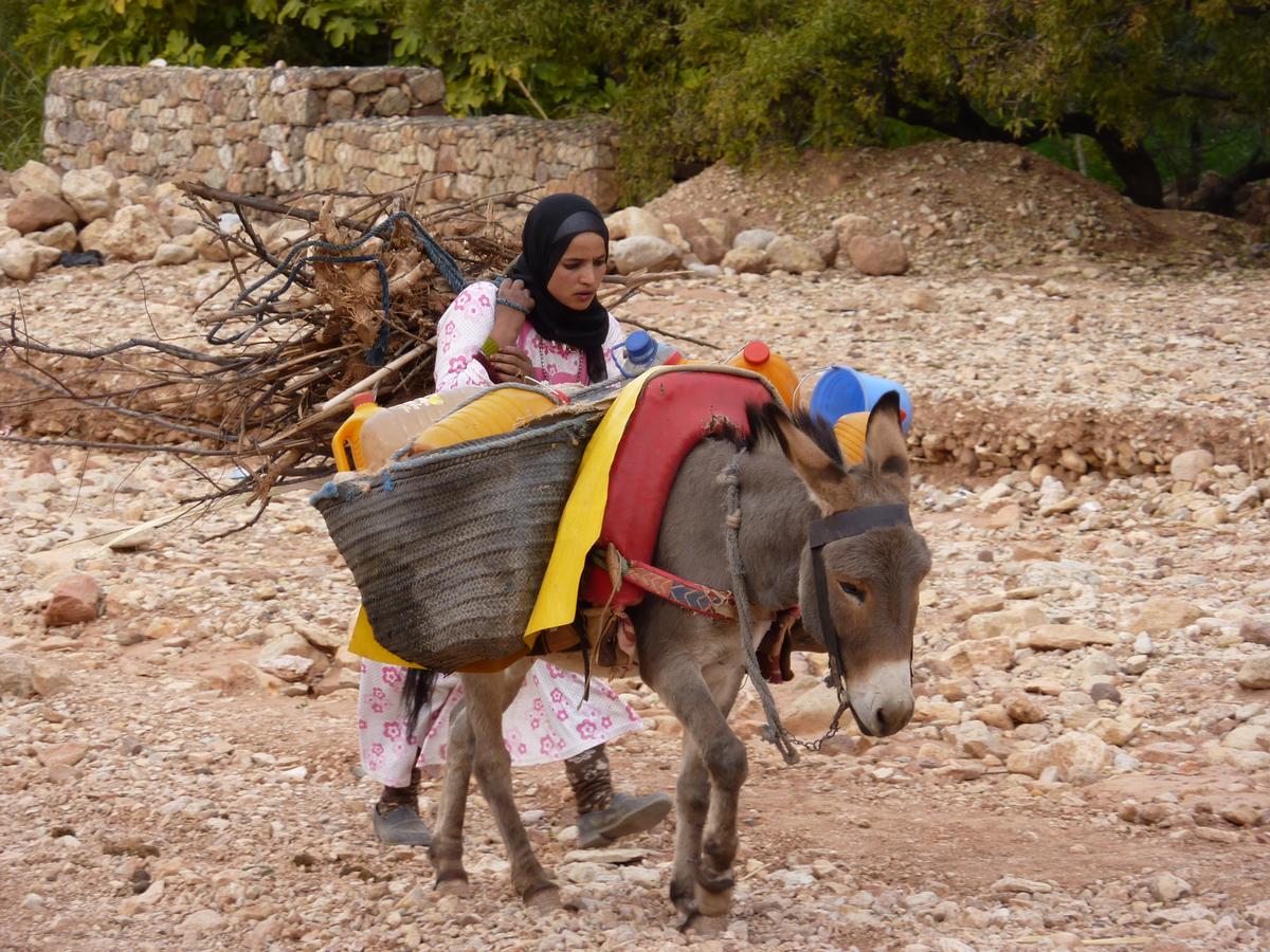 Vallée du Souss dans le sud du Maroc dans mon article Où aller au Maroc : mon itinéraire au sud du Maroc entre mer, montagnes et désert #maroc #itineraire #voyage