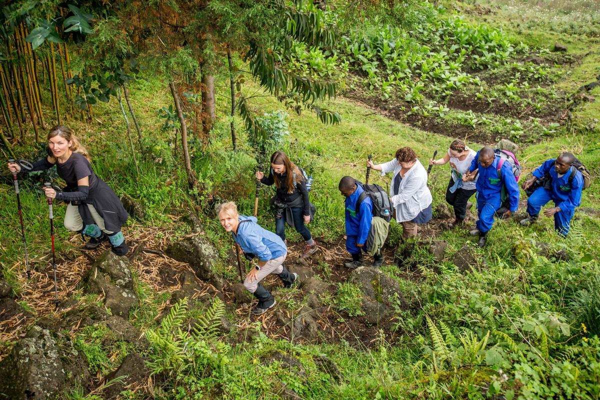 Petit groupe d'observation des gorilles des montagnes au Rwanda dans mon article Les gorilles des montagnes au Rwanda : les observer, le rêve d’une vie #gorille #gorilledesmontagnes #rwanda #afrique