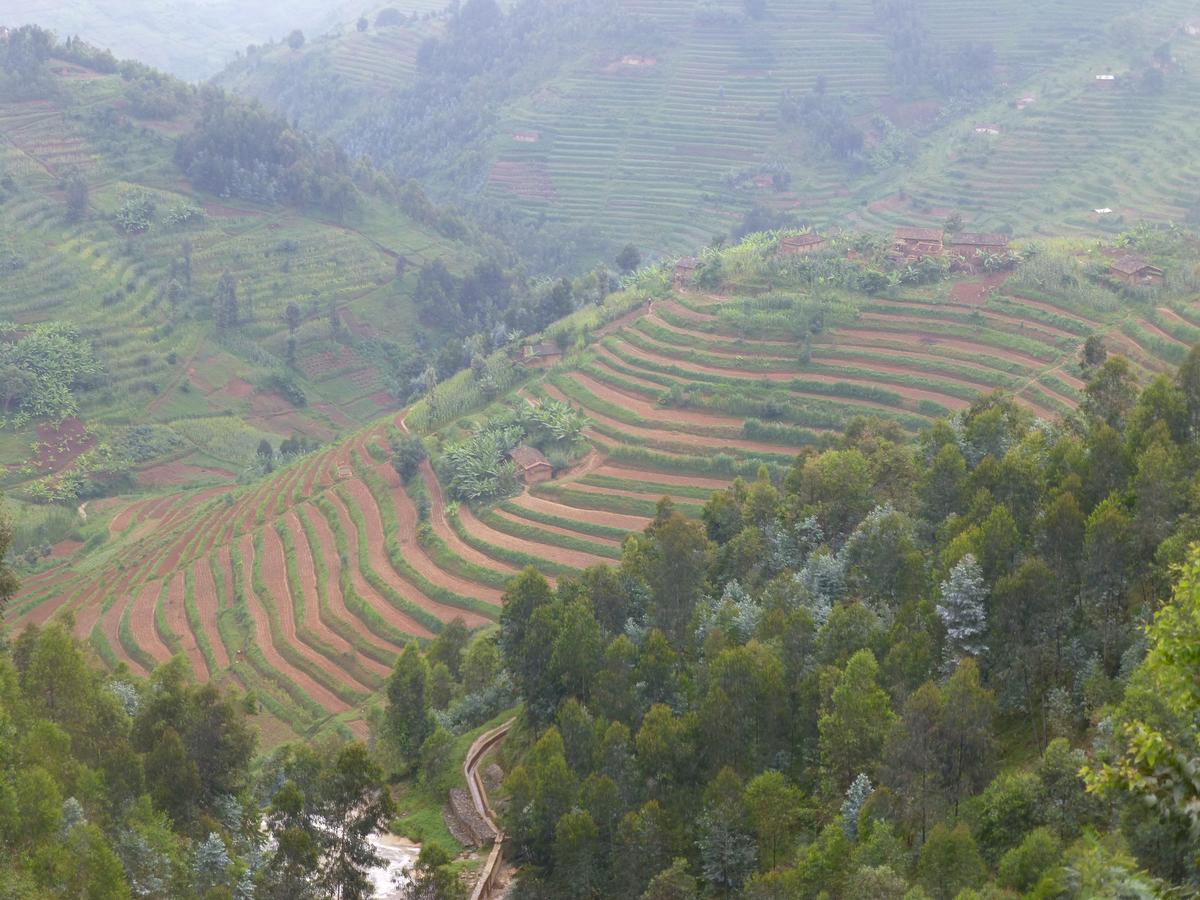 Paysage de montagnes du Rwanda dans mon article Les gorilles des montagnes au Rwanda : les observer, le rêve d’une vie #gorille #gorilledesmontagnes #rwanda #afrique