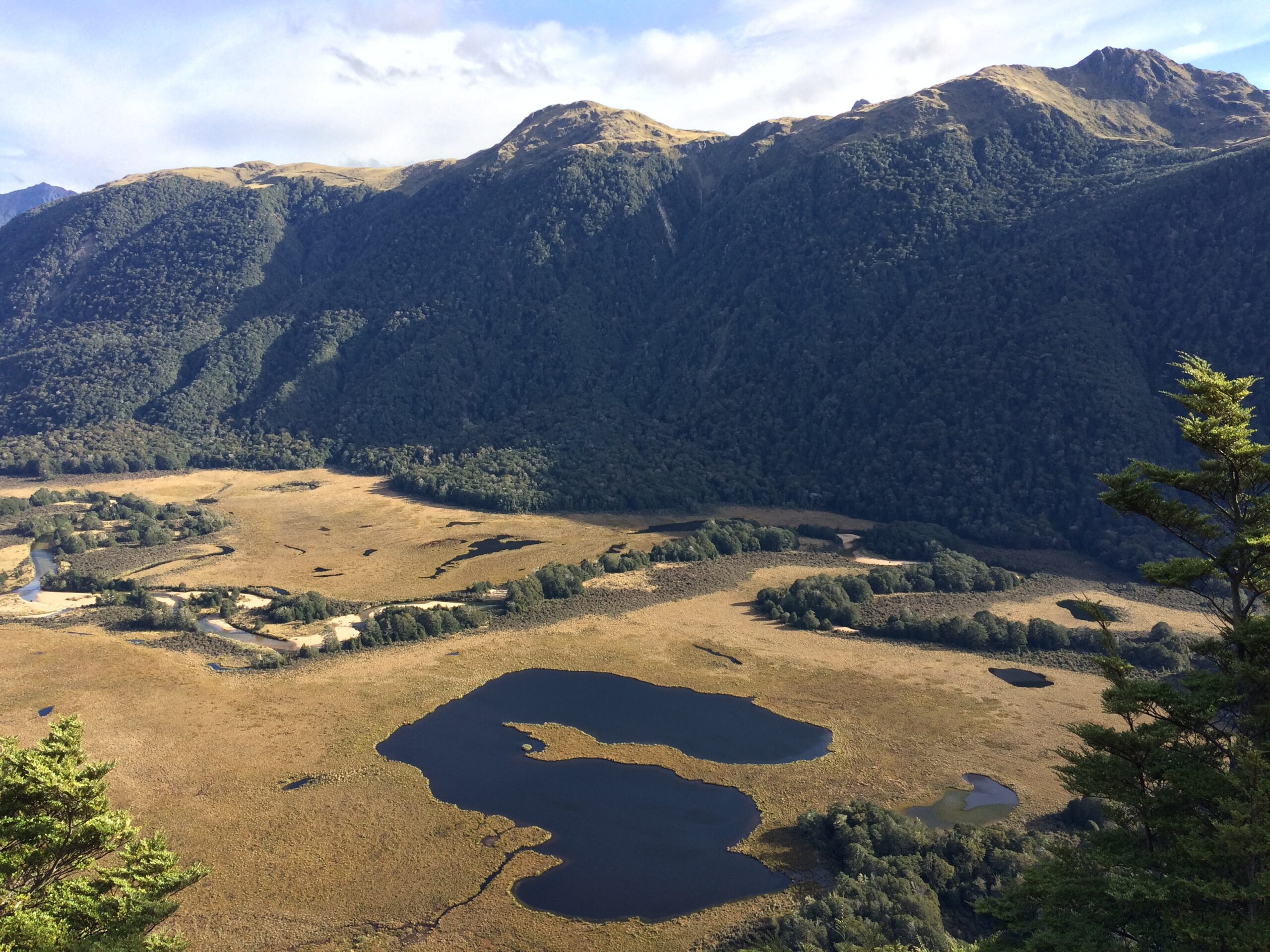 Magnifique vue sur le Parc national de Fiordland dans mon article L'Île du Sud en Nouvelle-Zélande : Mes activités coups de coeur à mettre à votre itinéraire #iledusud #nouvellezelande #oceanie #voyage