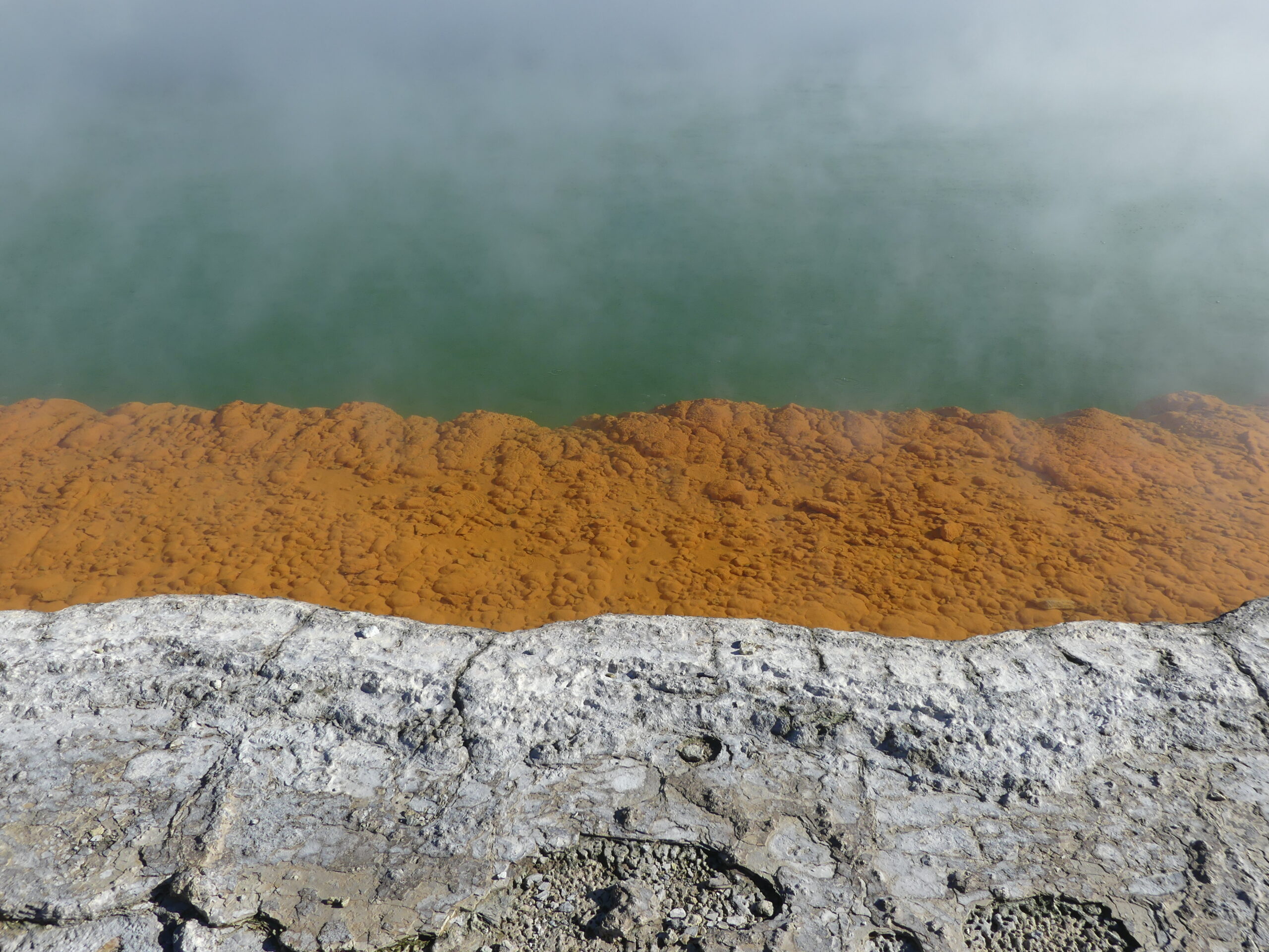 Zone géothermique Wai-O-Tapu sur l'île du Nord en Nouvelle-Zélande dans mon article L'Île du Nord en Nouvelle-Zélande : Mes activités coups de coeur testées et approuvées #iledunord #nouvellezelande #voyage #oceanie