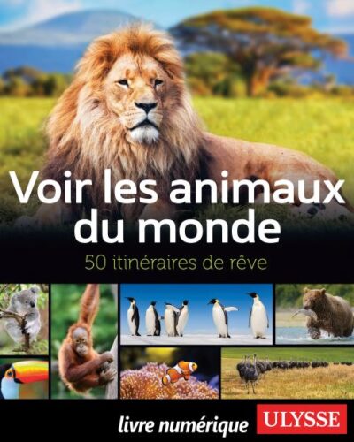 Voir les animaux du monde – 50 itinéraires de rêve  par auteure ariane arpin-delorme Voir les animaux du monde – 50 itinéraires de rêve par auteure ariane arpin-delorme