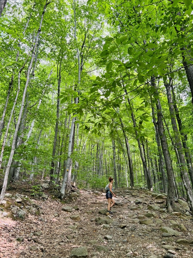 Randonnée dans les Adirondacks depuis camping Huttopia dans mon article Camping Huttopia : mon expérience en prêt-à-camper Huttopia au fil des ans #huttopia #pretacamper #camping #adirondacks